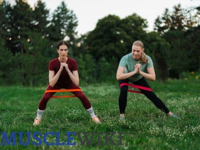 Allenamento con bande elastiche per principianti - Giorno 2 workout
