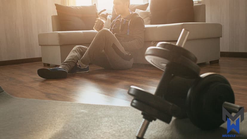 كمال أجسام للمبتدئين - تمرين كامل للجسم - اليوم 1 workout