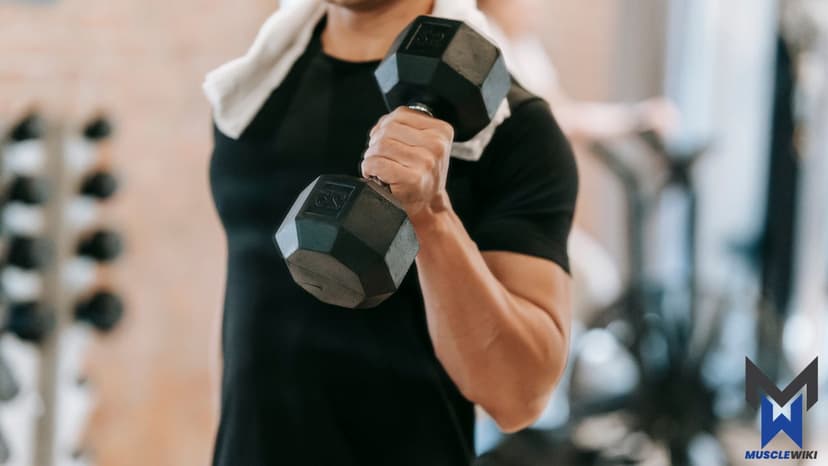 كمال أجسام للمبتدئين - كامل الجسم - اليوم 2 workout