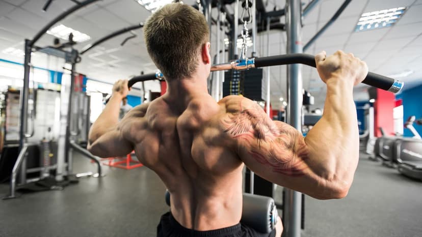 फुल बॉडी बॉडीबिल्डिंग - दिन 2 workout