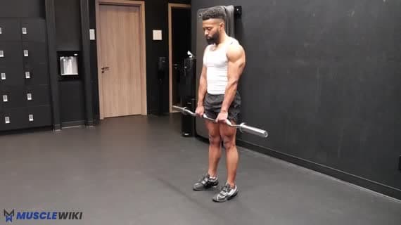 EZ杠罗马尼亚硬拉