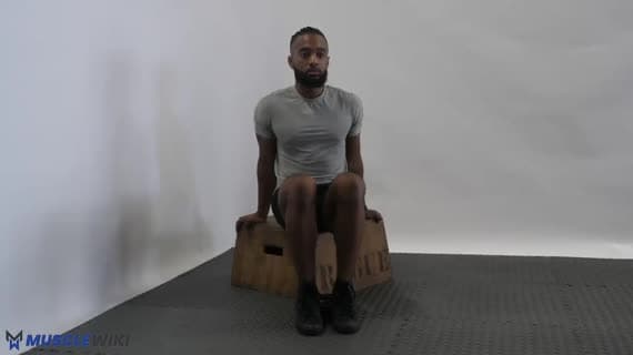 Oturarak Tibialis Anterior Kaldırışı