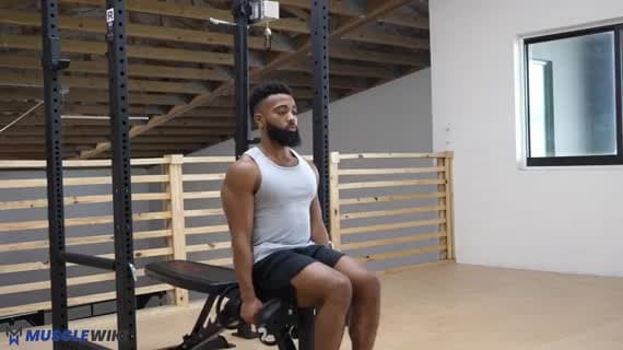 Elevação Lateral Completa Com Halteres (Sentado)