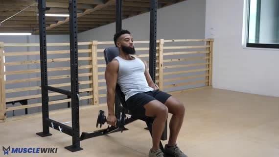 ダンベル片手インクラインリバースカール