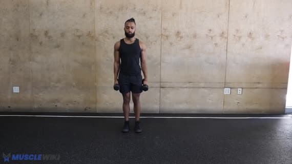 Dambıl Sallama Lunge
