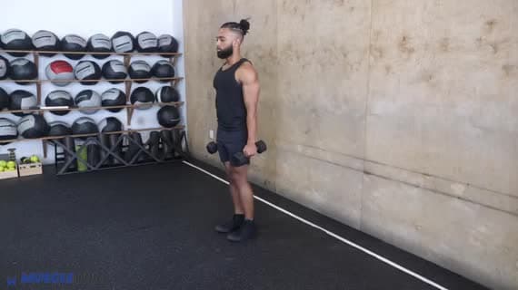 Dambıl Sallama Lunge