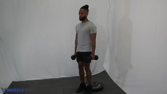 Ayakta Dambıllı Tibialis Kaldırma