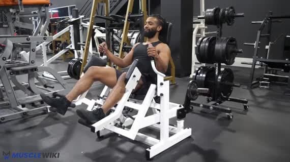 Gluteator