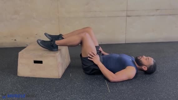 Ponte de Glúteos com Pés Elevados (Peso Corporal)