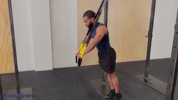 Flexión en TRX