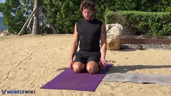 Vajrasana Variazione 1