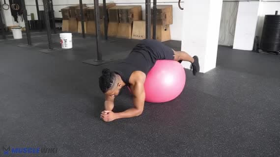 Stabilitätsball Reverse-Hyperextension
