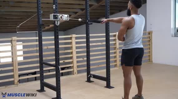 Tirage unilatéral debout à la poulie (mouvement en travers) — deltoïde postérieur