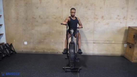 Cardio Assault Bike Solo Braccia