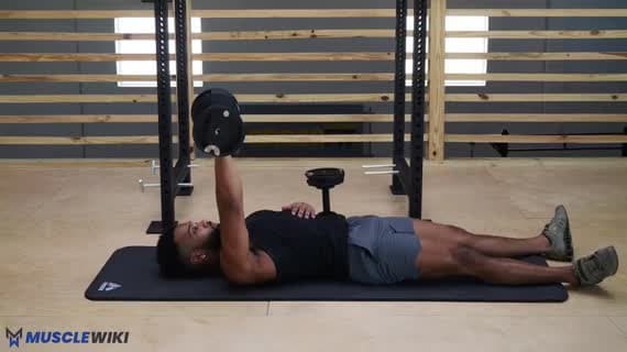 Apertura unilateral en el suelo con mancuerna y rotación interna del hombro
