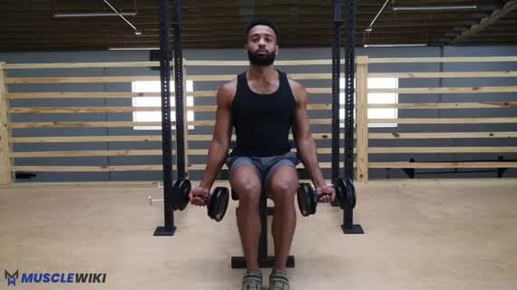 Curl Zottman assis avec haltères