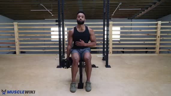 Curl Marteau Assis Unilatéral Avec Haltère