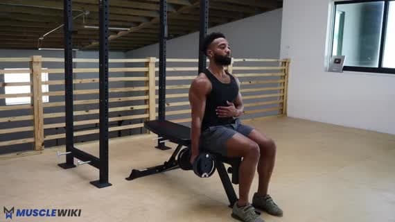 Curl Marteau Assis Unilatéral Avec Haltère