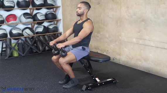Levantamiento Doble de Pantorrilla Sentado con Kettlebell